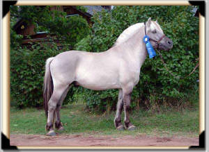 Click for full size image