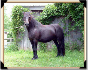 Click for full size image