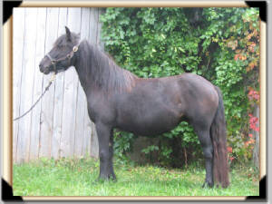 Click for full size image