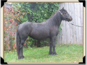 Click for full size image