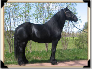 Click for full size image