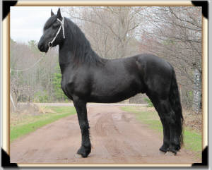 Click for full size image