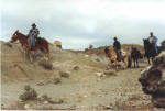 Ken riding Fjord Stallion Half Diamond Luton in mountains in Wyoming. 
