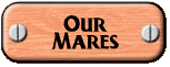 Our Mares