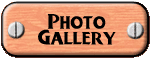 Photo Gallery
