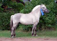 Eitan