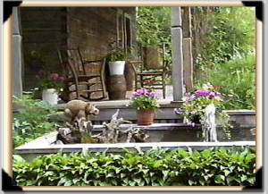 Click for full size image