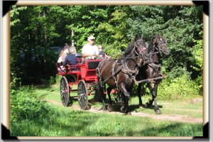 Click for full size image