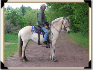 Click for full size image