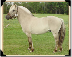 Click for full size image