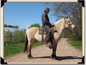 Click for full size image