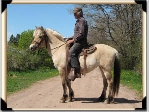 Click for full size image