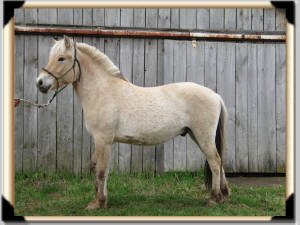 Click for full size image