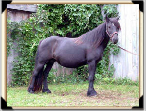 Click for full size image