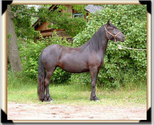 Click for full size image