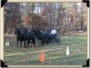 Click for full size image