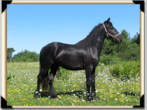 Click for full size image