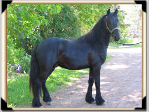 Click for full size image