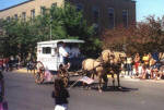 Team of Fjords pulling civil war era ambulance in parade.