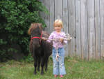 Paris and mini pony.